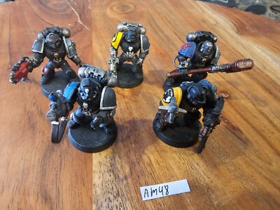 Warhammer 40k 40,000 Space Marines Space Wolves Blood Claws x5 Painted SK048