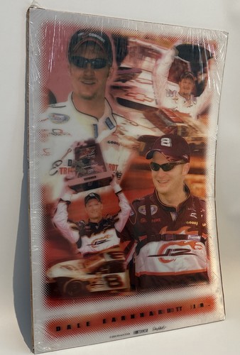 Dale Earnhardt 3D Poster 2004 Winner’s Circle NASCAR 24x16 - Bild 2 von 9
