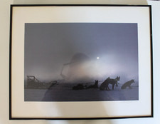 Stephen Wilkes Huskies Limited Edition Color Photograph 65/300 16" x 20"