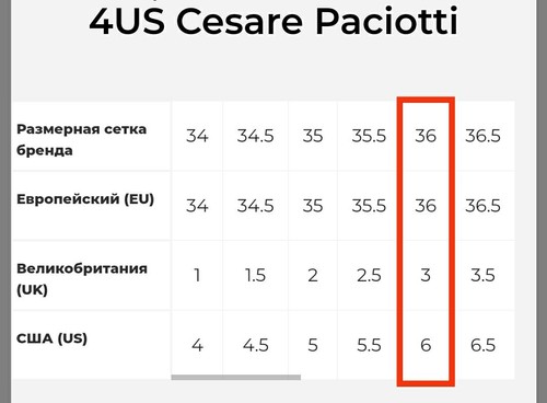 CESARE PACIOTTI Sneakers basse in pitone nero sneakers pelle di serpente - Foto 17 di 17