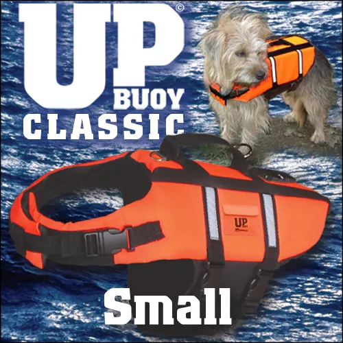 Little dog top life jackets