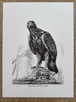 Alan R Young American Golden Eagle Signed 16x20 LE 52/250 B&W Litho Art Print