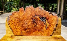 Golden AMBOYNA BURL LUMBER Live Edge Resin Epoxy Table Top DIY Natural Slab Wood