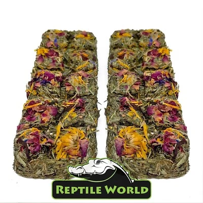Reptile World Tortoise Flower Treat Bars x 2, 100% Natural Treat for Tortoises