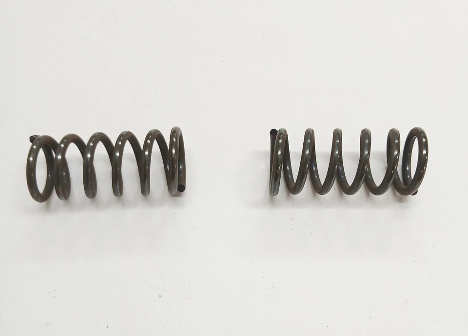 Nuevo Ford Thunderbird 1967 a 1971 puerta bisagra resortes 1 par Foto 2 de 2