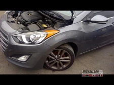 (LOCAL PICKUP ONLY) Driver Rear Side Door Electric Hatchback GT Limited Fits 13-