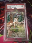 2025 Pokemon Phantasmal Flames Meowth Illustration Rare PSA9