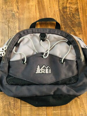 Waist Bags Fanny Packs Rei Waist Pack Rei Patagonia Hip Pack