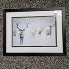 Deer Stag Picture In Black Frame New