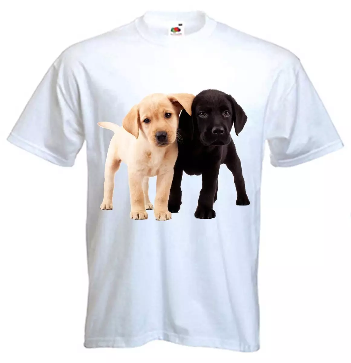Chocolate lab items cheap