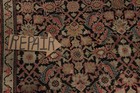 Foto 16 di 21