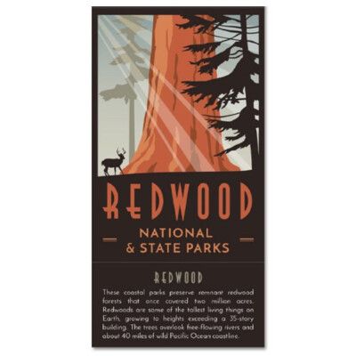Trailblazer Collection Series Redwoood National and State Parks Vinyl Sticker