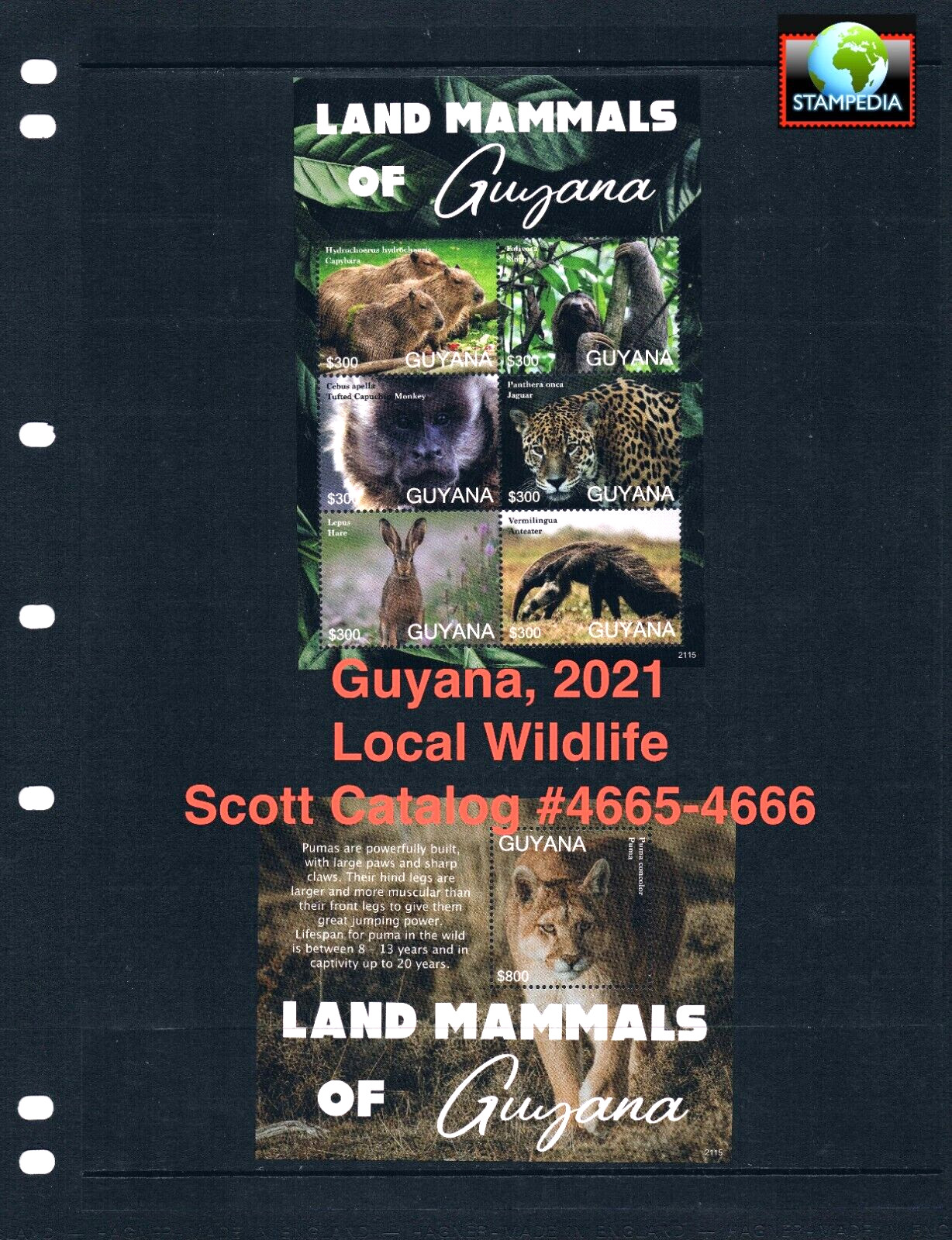 $25.25 Scott Value - 2021 GUYANA Wildlife 2 s/s Jaguars So America CV MNH NH UMM