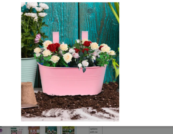 Paquete de 3 ganchos de cubo ovalados para jardinera barandilla de metal drenaje púrpura rosa azul Foto 3 de 3