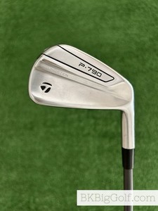 P790 Udi 2 Iron | eBay