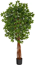 5.5Ft. Super Deluxe Natural Trunk Ficus Artificial Tree with Natural Trunk