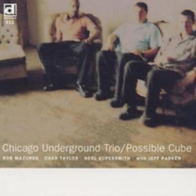 CHICAGO UNDERGROUND TRIO: POSSIBLE CUBE - CD