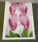 Bild 18 von 24