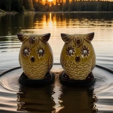 MCM Salt and Pepper Shakers Owl Groggily Eyes And Have Bottoms No Damage