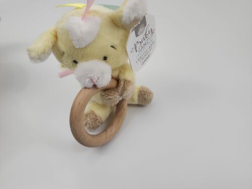 Baby Ganz 6" Crinkle and Rattle Bear Plush - Picture 2 of 6