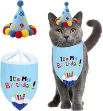 Pet Cat Dog Happy Birthday Bandana Scarfs and Cute Party Hat for Girls Boys,Cat 