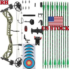 Archery Compound Bow RH 30-70lbs Let off 75  Carbon Arrows for Hunting Shoot