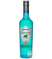 Bertagnolli Grappino Twist Basilico & Lime / 28 % Vol / 0,5 Liter-Flasche