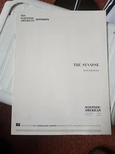 The Synapse By Sir John Eccles  Scientific American January 1965