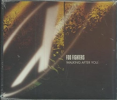 Walking After You, Foo Fighters, Used; Good  CD