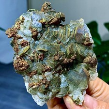217G Natural Hubei Daye Mercedes Benz clachite symbiotic pyrite Collectibles