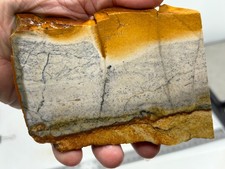 Disaster Peak Picture Jasper Slab Cabbing Lapidary Collecting Combo Ship Avail