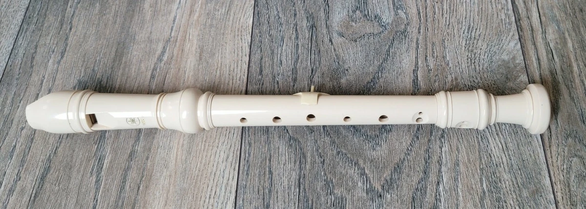 Plastic flute price online