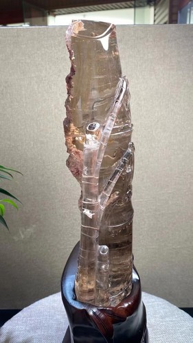 11.2 Top A+ Natural Ghost Phantom Bamboo Quartz Mineral Specimen Crystal Decor - Picture 8 of 9