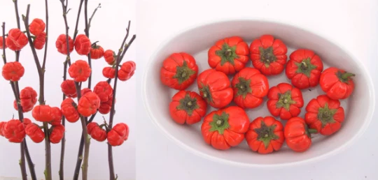 VALLEY VIEW RANCH Mini Pumpkin Tree on a stick / Ornamental Eggplant/ NON GMO seeds