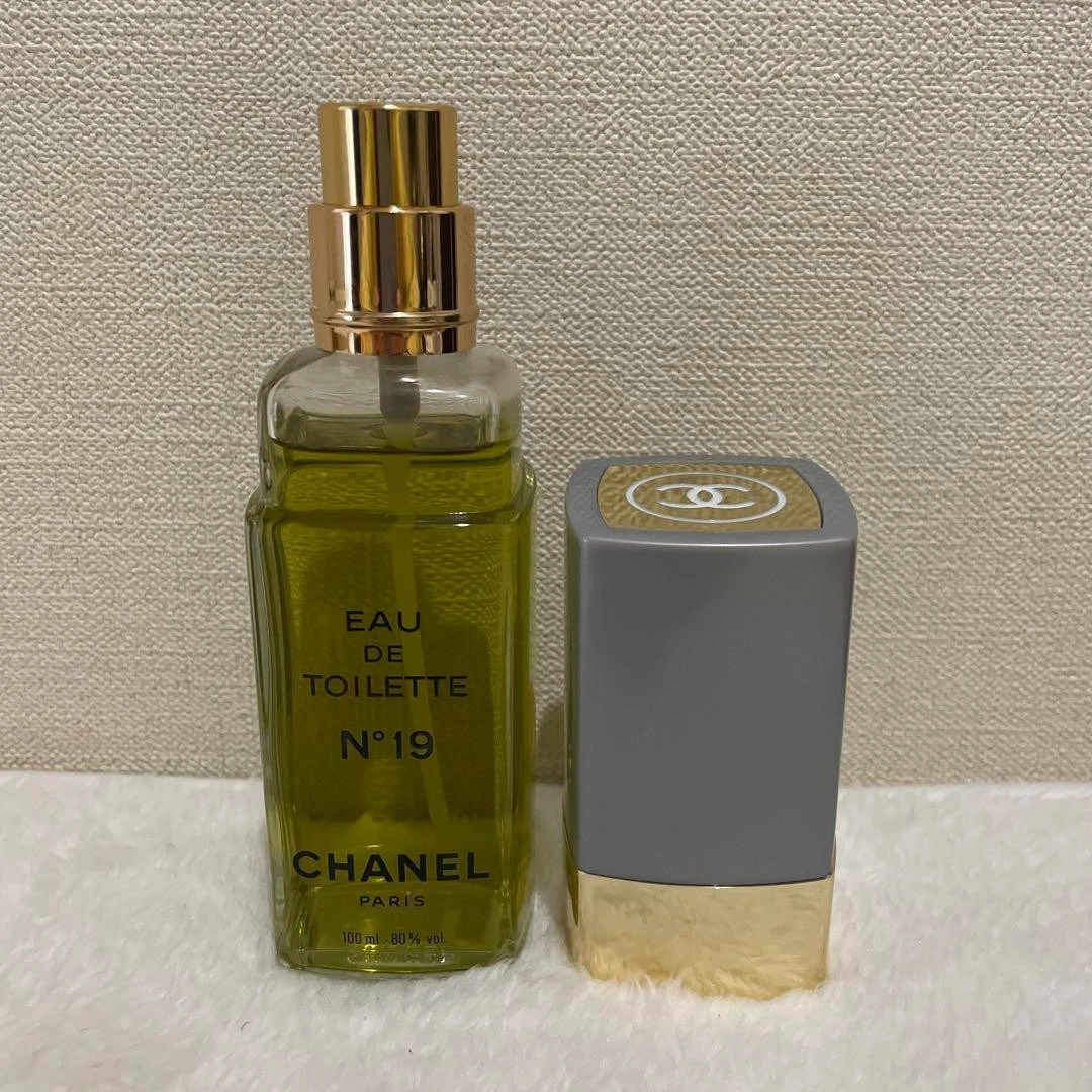 CHANEL Eau de Toilette N°19 100ml Chanel 19 Perfume | FragranceNet.com®