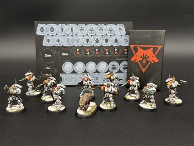 Warhammer 40K Kill Team Space Wolves Wolf Scouts Full Roster Painted