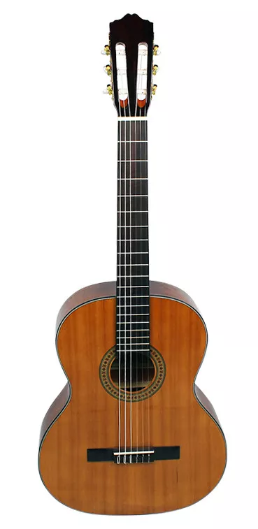 Axiom Segovia Solid Cedar Top Classical Guitar Professional