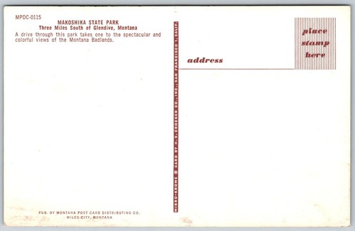 Glendive Montana Makoshika State Park Montana Badlands Dinosaur Fossils Postcard - Bild 2 von 2