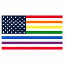 Flag USA Rainbow Stripe Flag Cotton Fabric Robert Kaufman 23" x 44" PRIDE PANEL