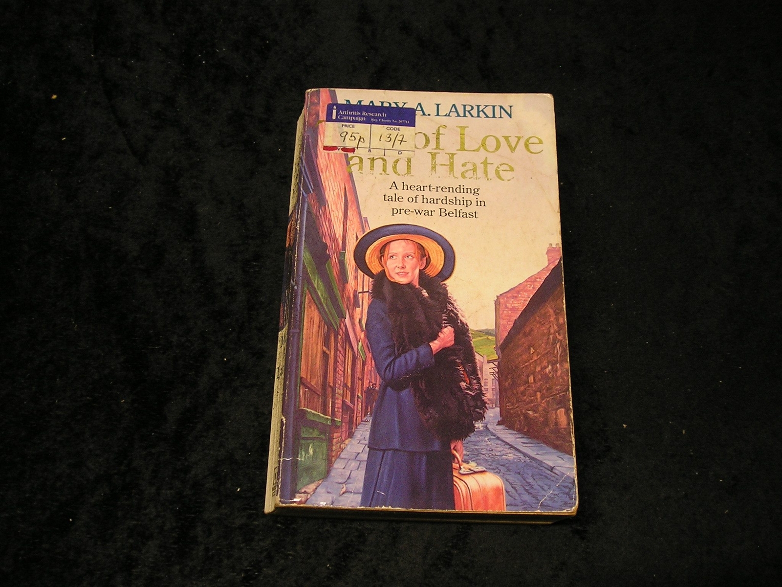 Ties of Love and Hate by Mary A. Larkin