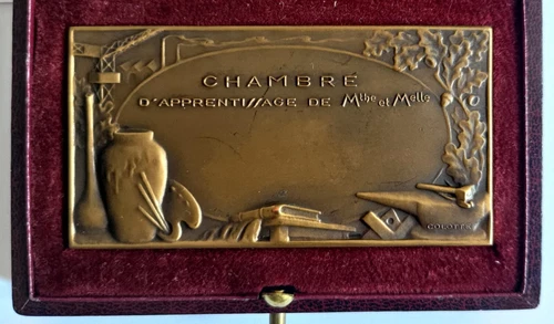 France Learning Chamber of Meurthe and Moselle Art Medal by Colotte 75x39mm 80gr