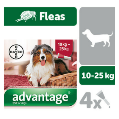 advantage 250 for dogs