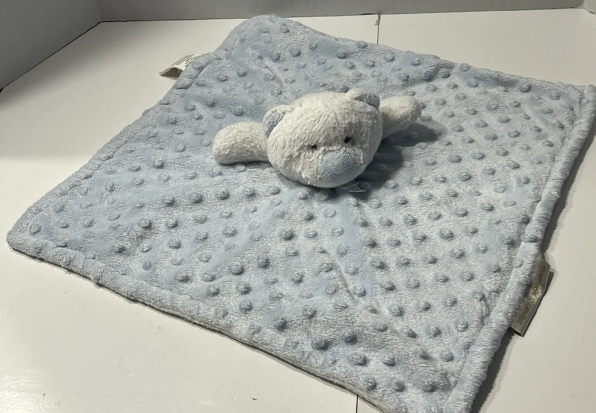 Minky top security blanket