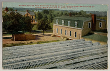 Section 3 of Greenhouses of John Lewis Childs, Floral Park, NY Postcard