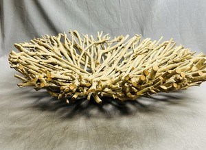 Driftwood Natural Wood LARGE 20.5" Decorative Round Bowl Coastal BEACHY Vibes