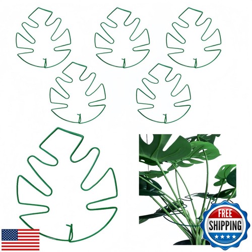 5Pcs Iron Monstera Plant Support, Uniquely Plant Support Stakes for Indoor Pl