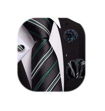 Mens Tie and Lapel Pin Paisley Striped Floral Necktie for Black Green White