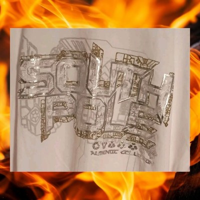 Vintage South Pole T-Shirt L Hip Hop Y2K Street Wear Spell Out
