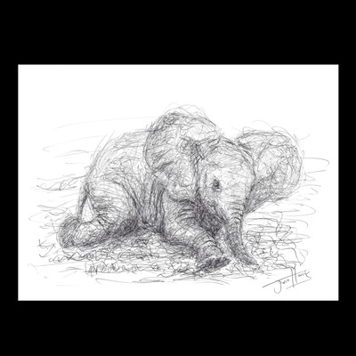 Baby Elephant | Scribble Pen Art Collectible Drawing by Jonathan Stephen Harris
