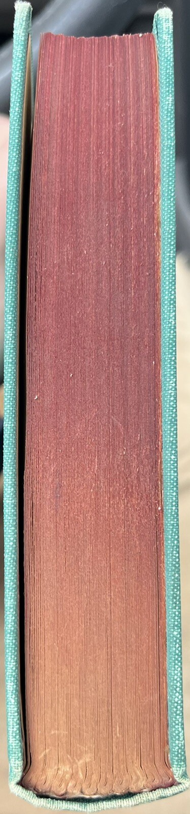 Bild 7 von 11